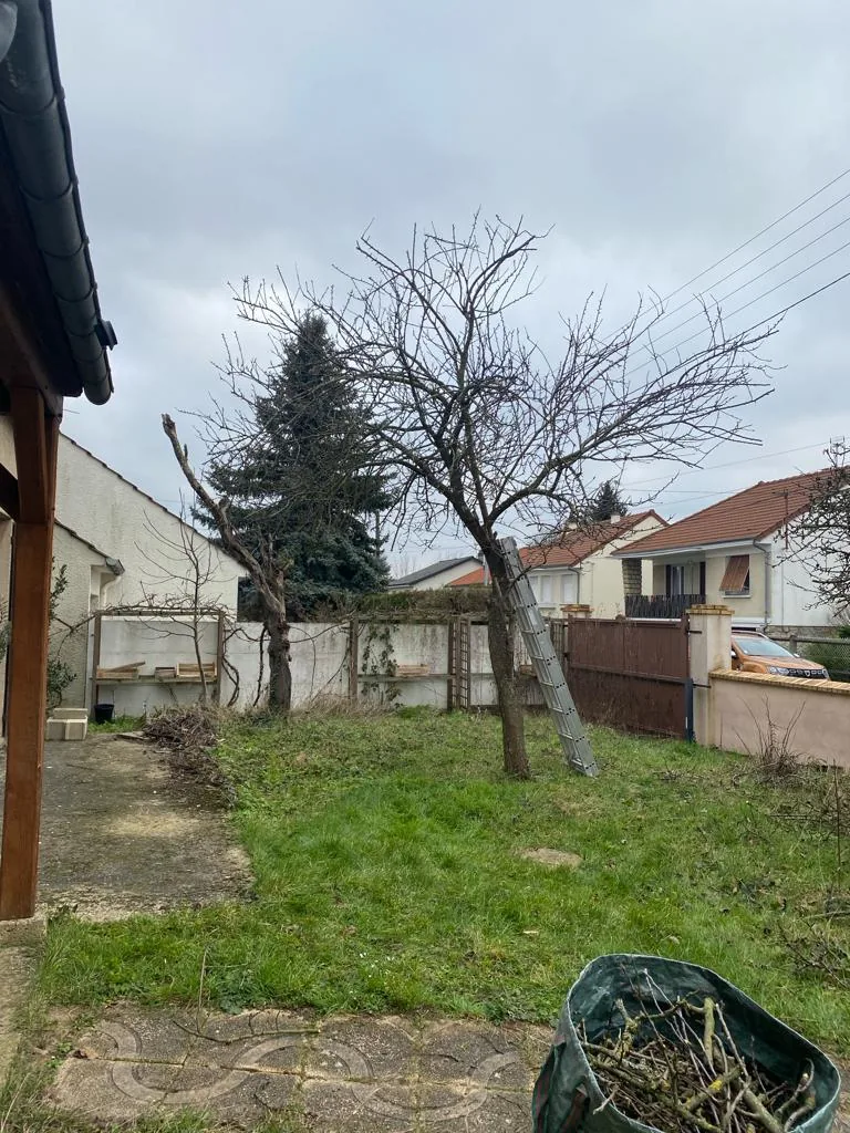 Arbre avant intervention dans un jardin