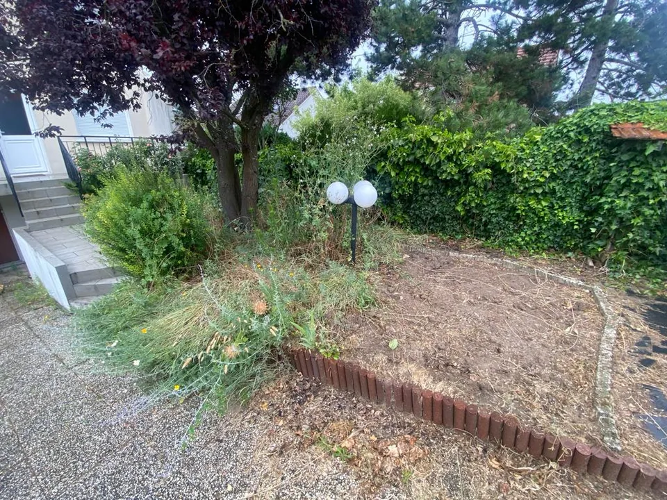 Jardin dégagé après entretien