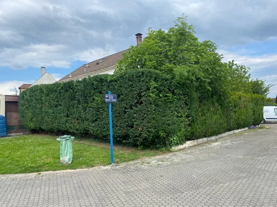 Haie taillée devant une propriété